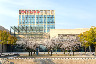 校园春色（2020年3月）